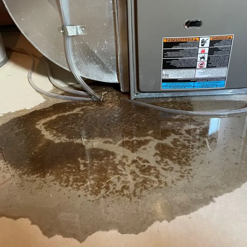 Pipe Burst and Leak Restoration in Elizabethtown, KY
