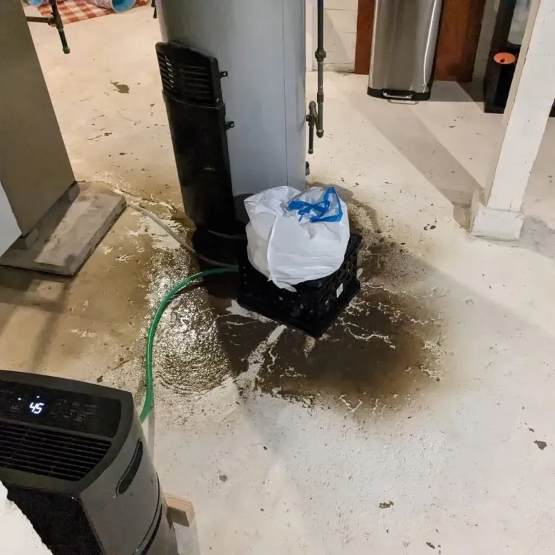 Sewage Backup Cleanup Service in Elizabethtown, KY